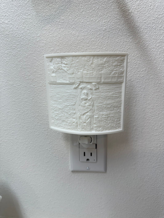 3D Image Night Light