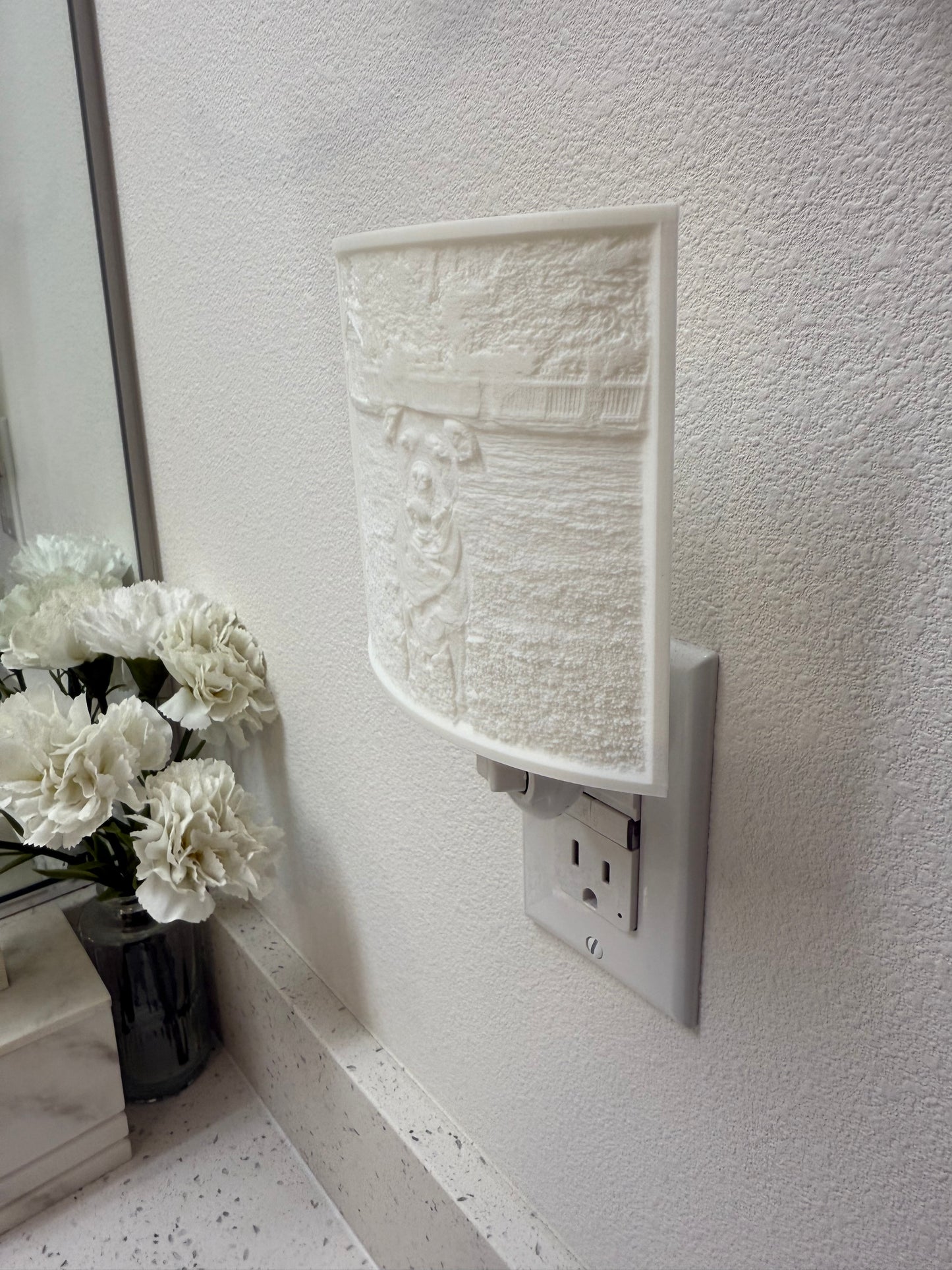 3D Image Night Light