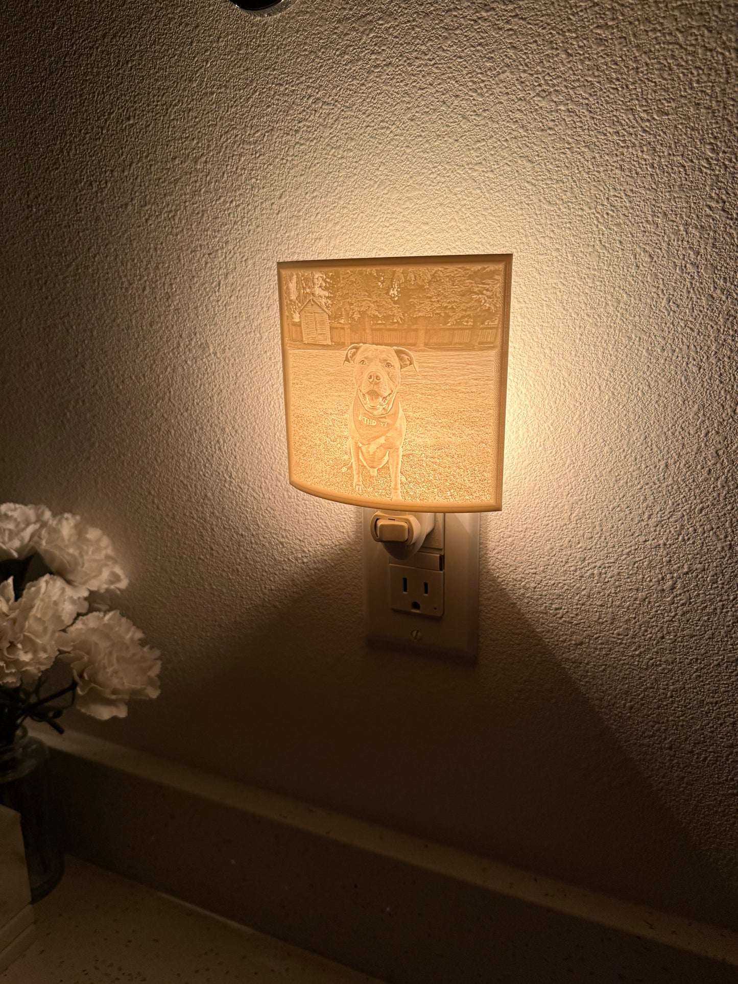 3D Image Night Light